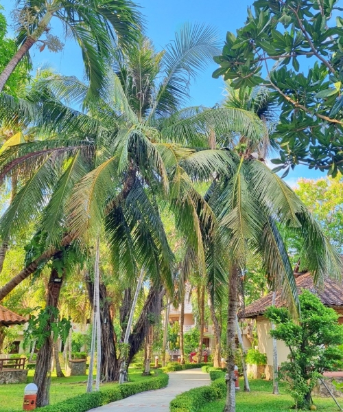 DỊCH VỤ
